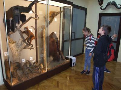 muzeum 05.jpg